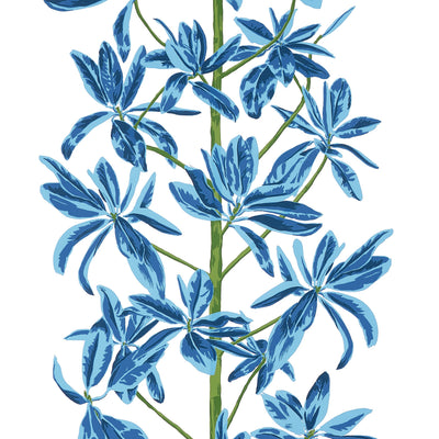 MANGROVE TREE - Blue and White