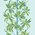 MANGROVE TREE - Turquoise