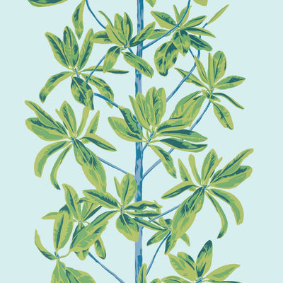 MANGROVE TREE - Turquoise