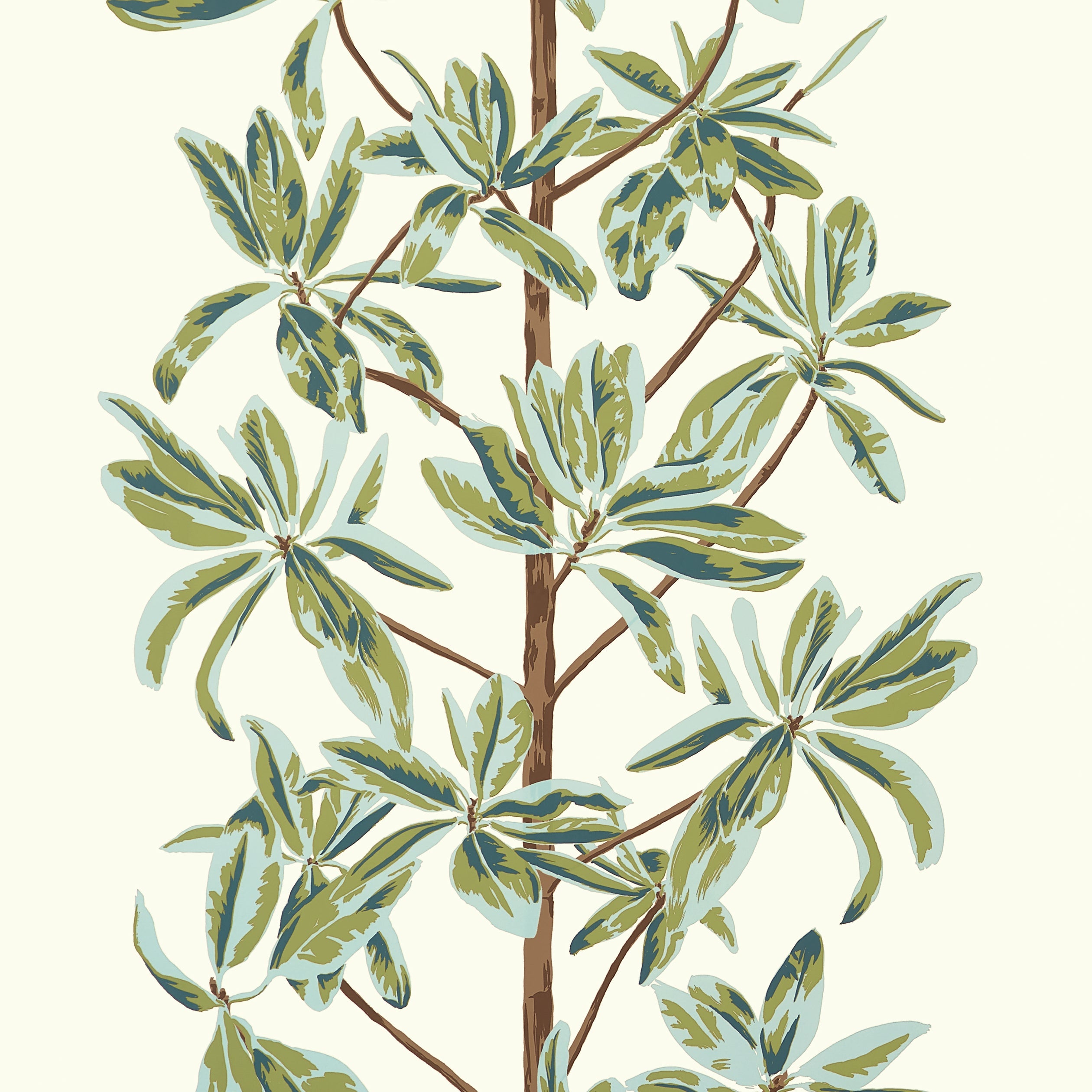 MANGROVE TREE - Sage