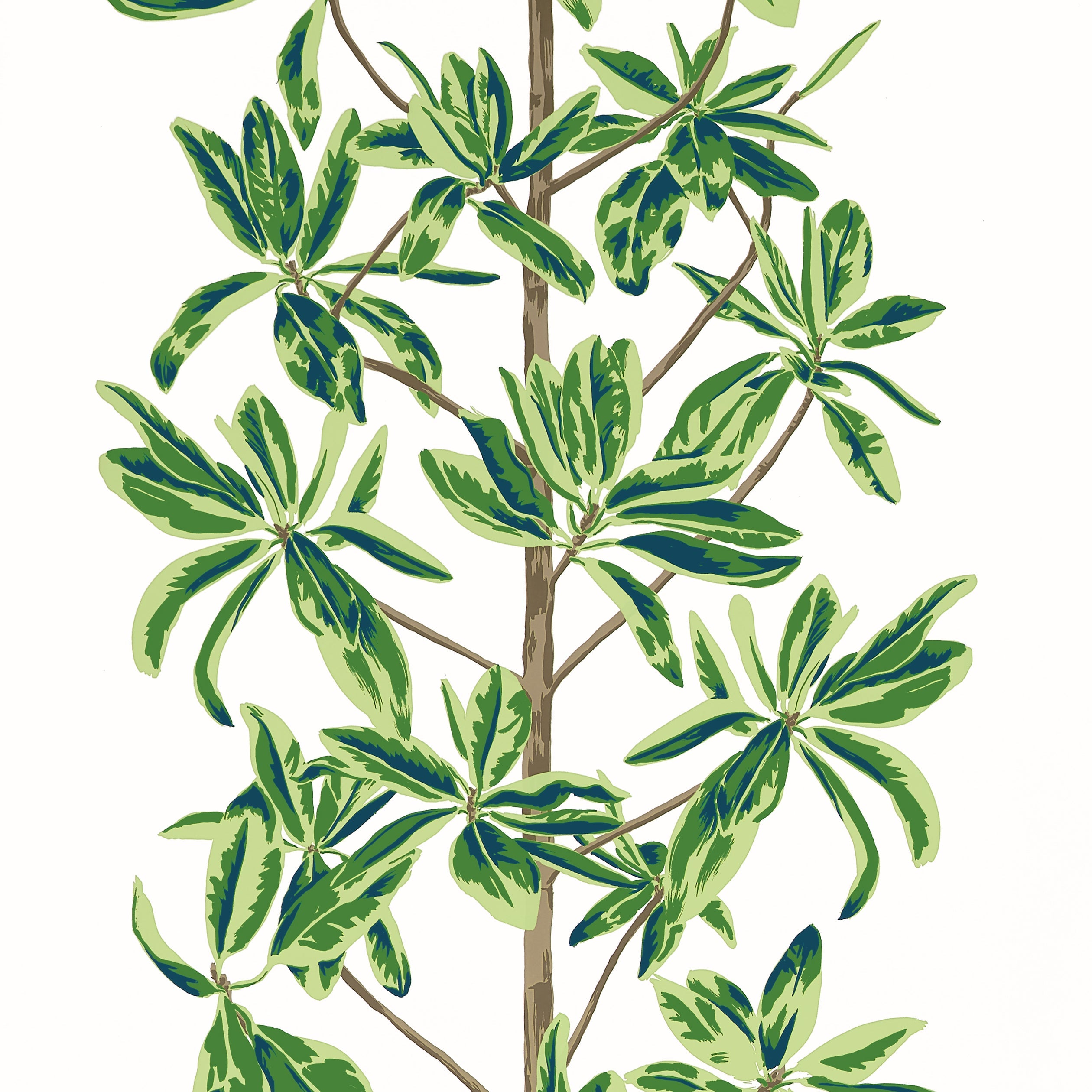 MANGROVE TREE - Green and White