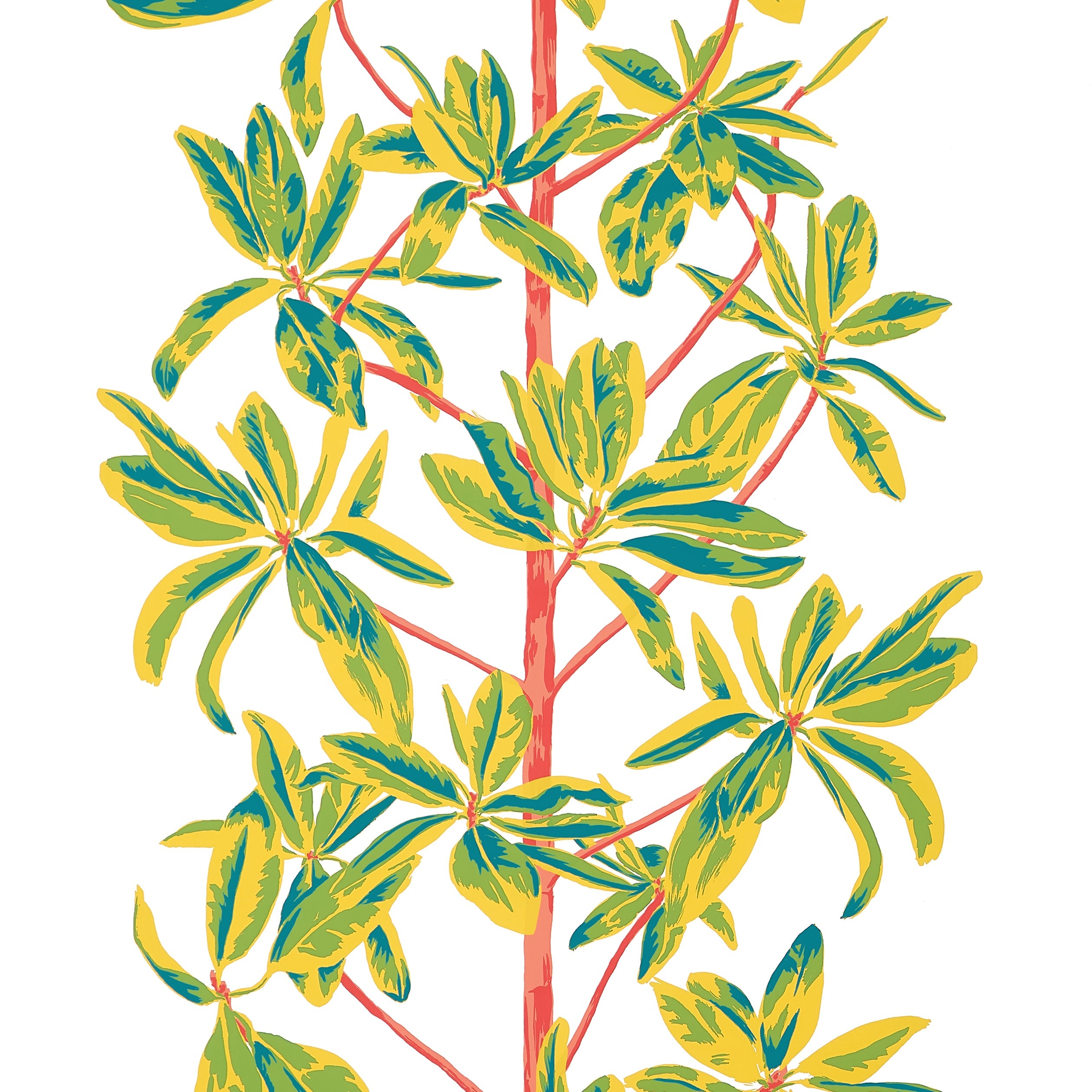 MANGROVE TREE - Coral