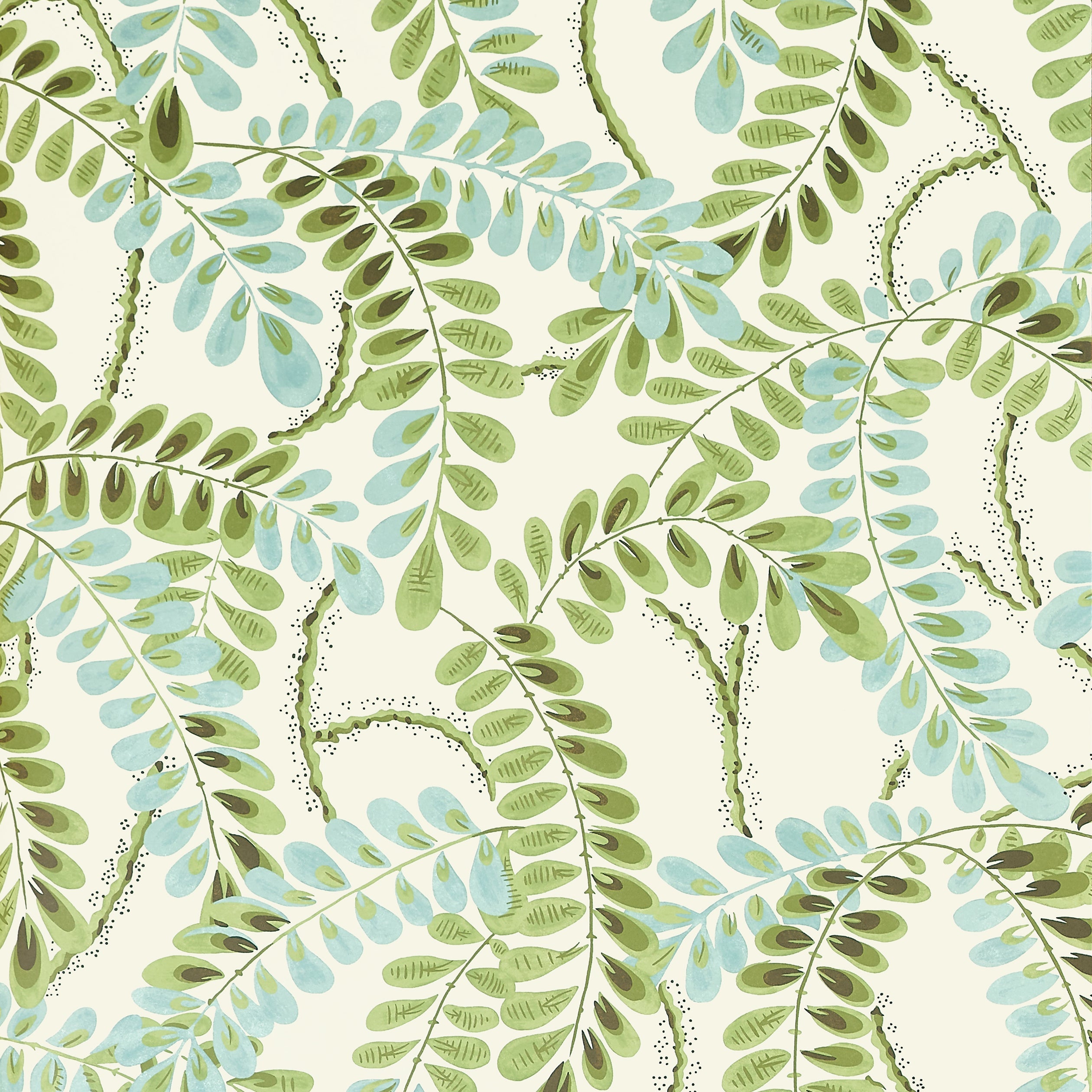 AUGUSTA - Sage