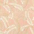 AUGUSTA - Apricot