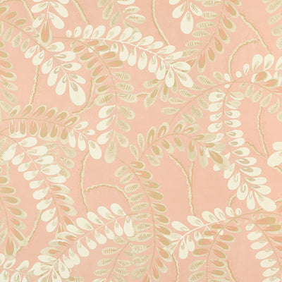 AUGUSTA - Apricot