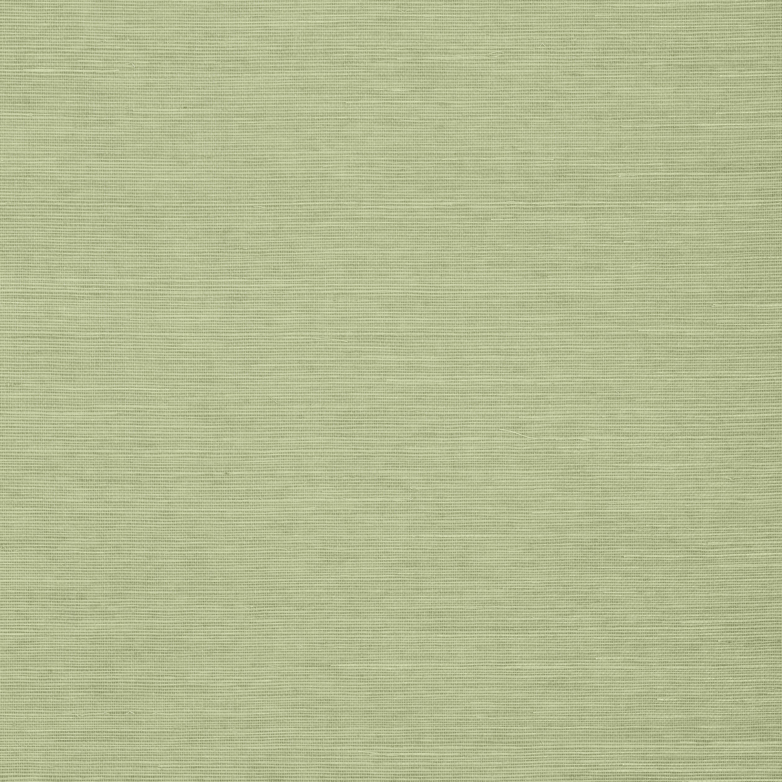 SHANG EXTRA FINE SISAL - Willow