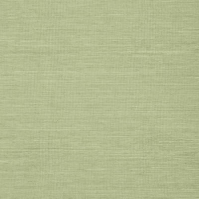 SHANG EXTRA FINE SISAL - Willow