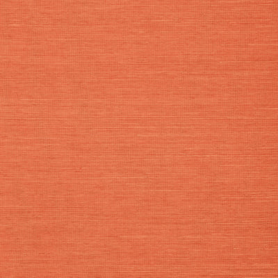 SHANG EXTRA FINE SISAL - Apricot