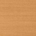 SHANG EXTRA FINE SISAL - Pumpkin