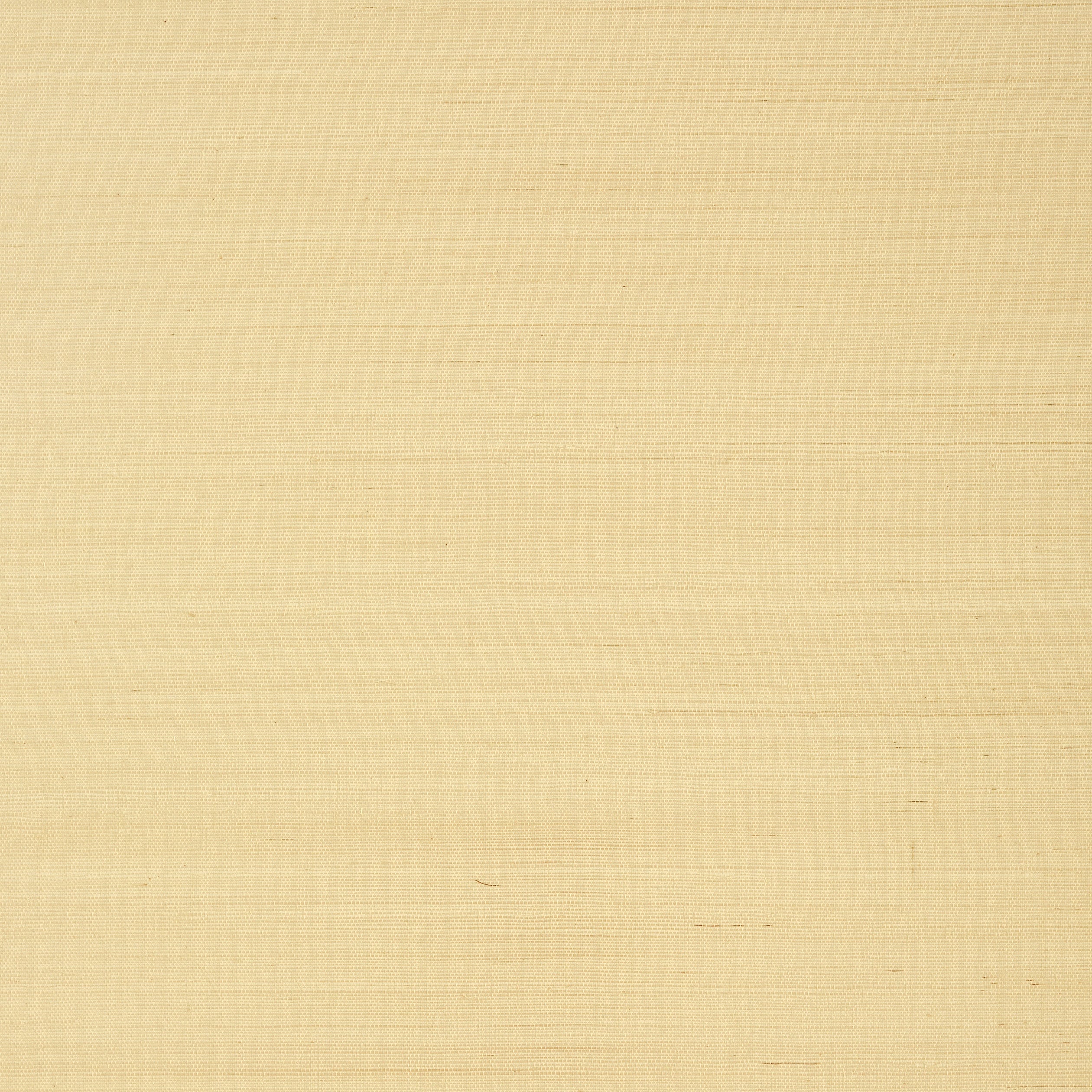 SHANG EXTRA FINE SISAL - Vanilla