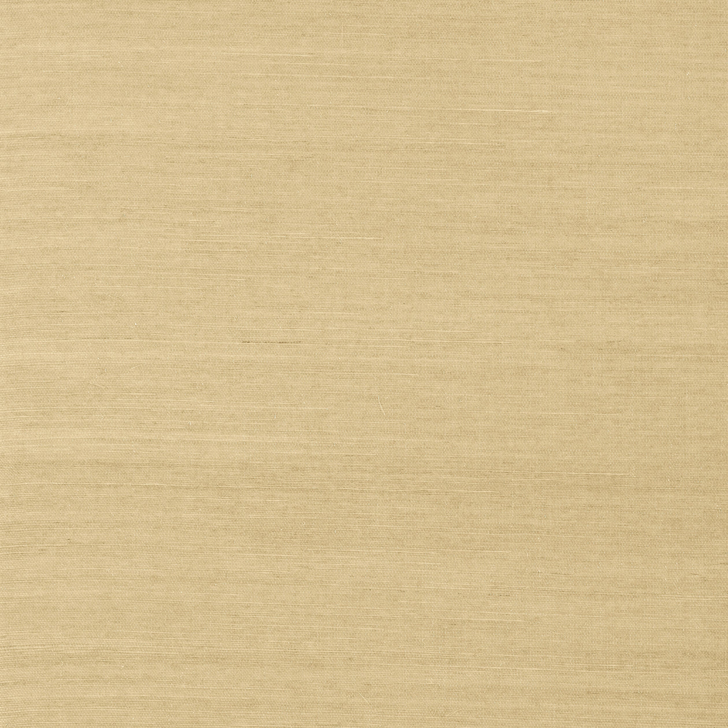 SHANG EXTRA FINE SISAL - Taupe