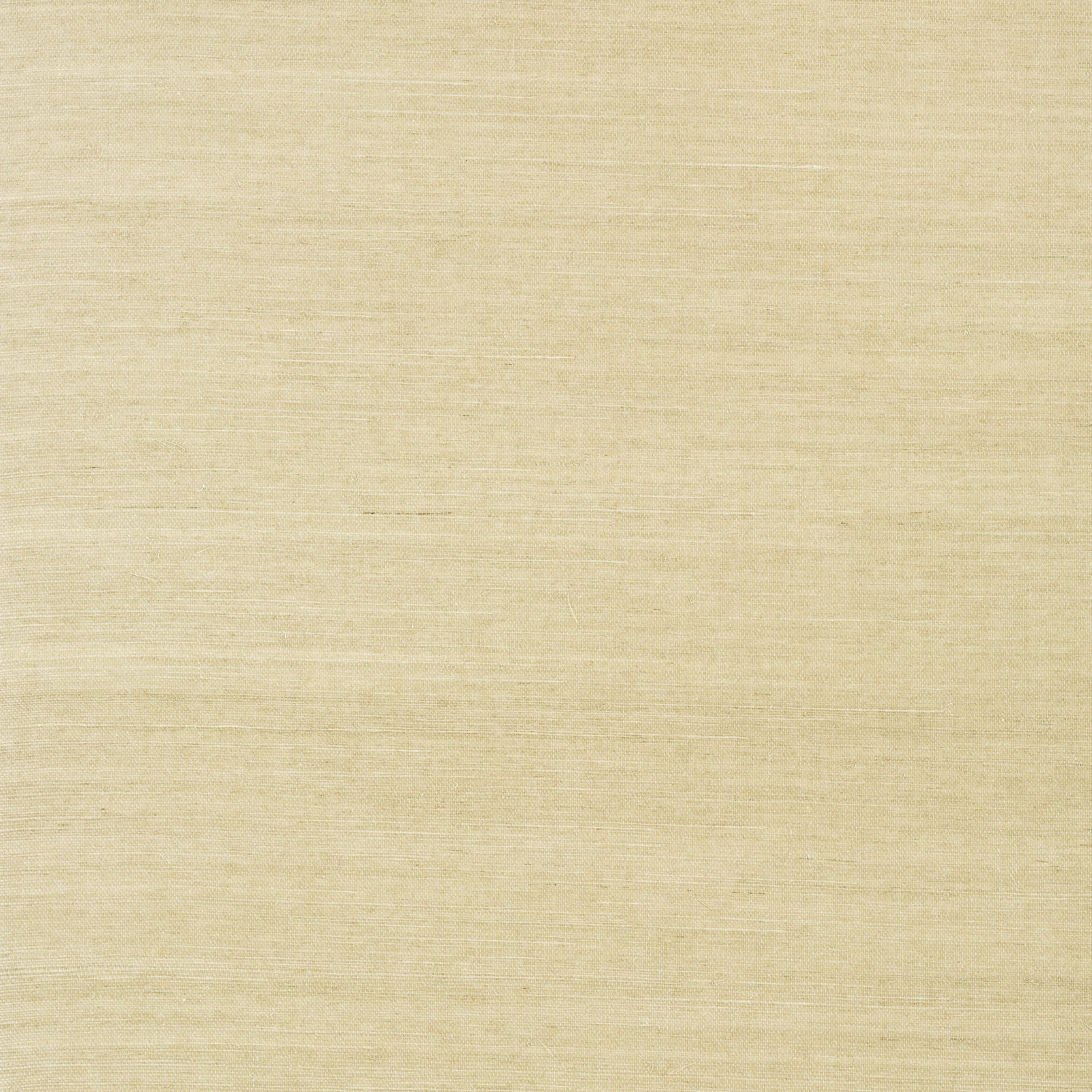SHANG EXTRA FINE SISAL - Putty