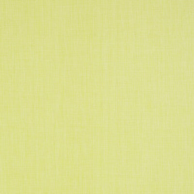 REGATTA RAFFIA - Citrus