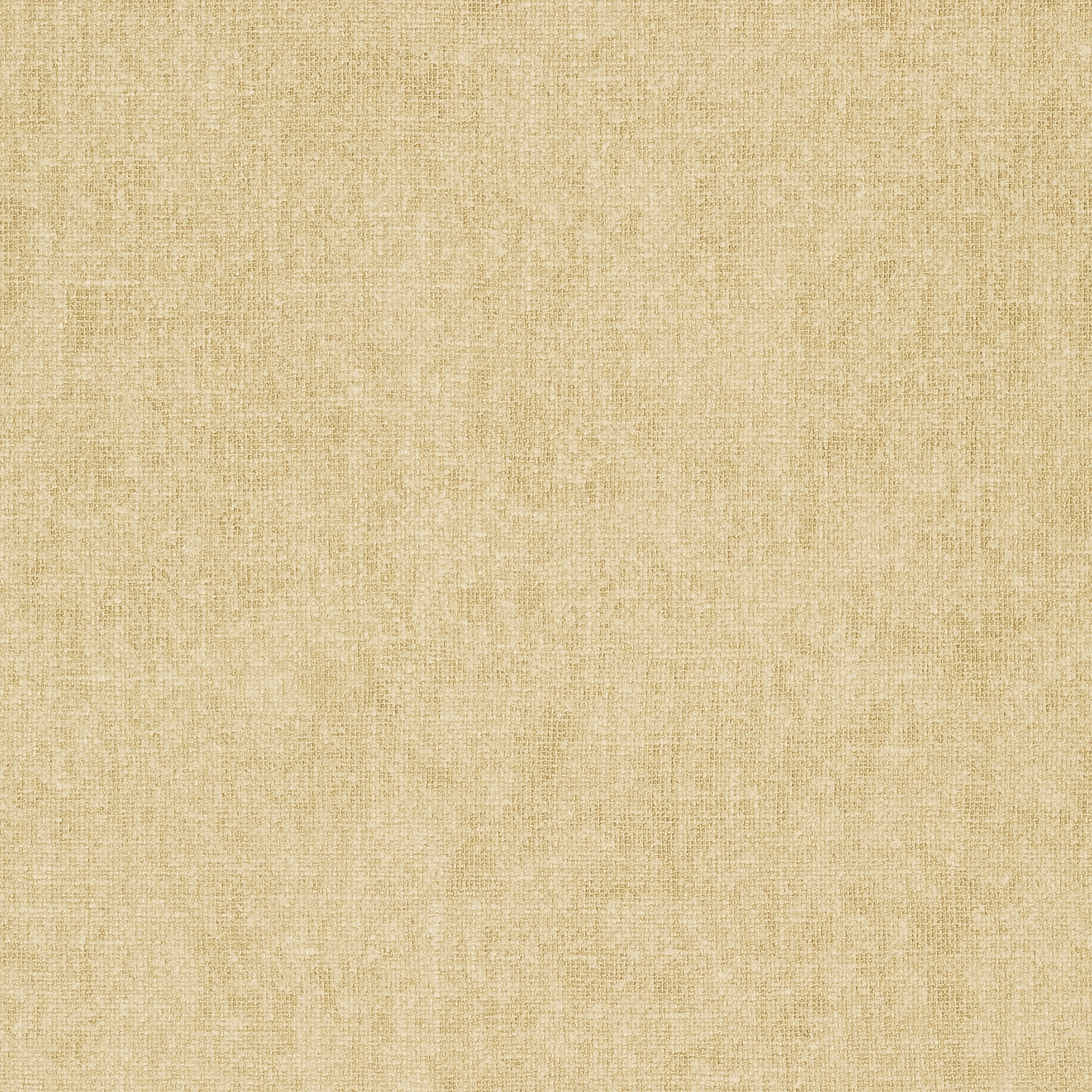 BELGIUM LINEN - Champagne