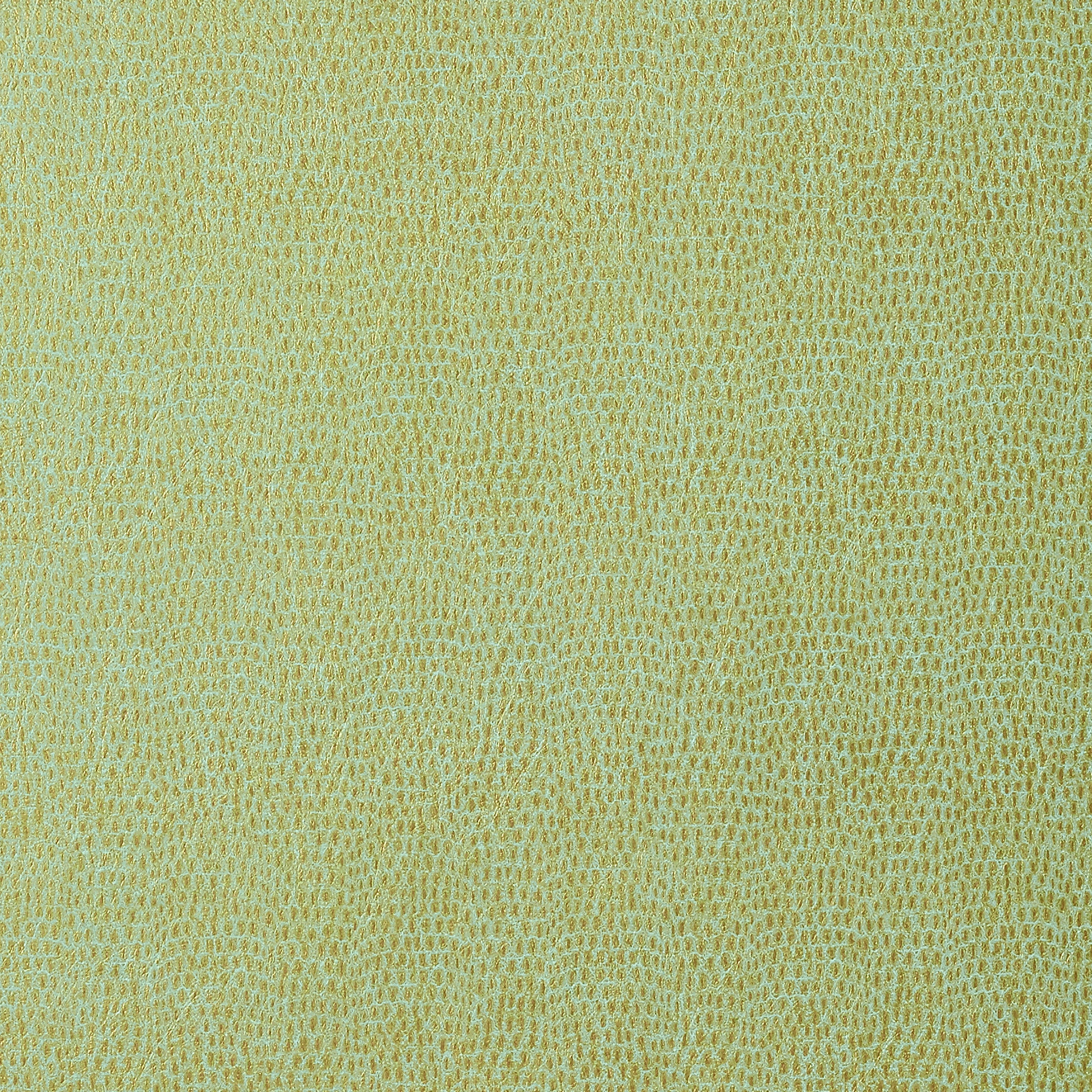 CHAMELEON - Patina