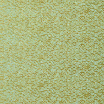 CHAMELEON - Patina