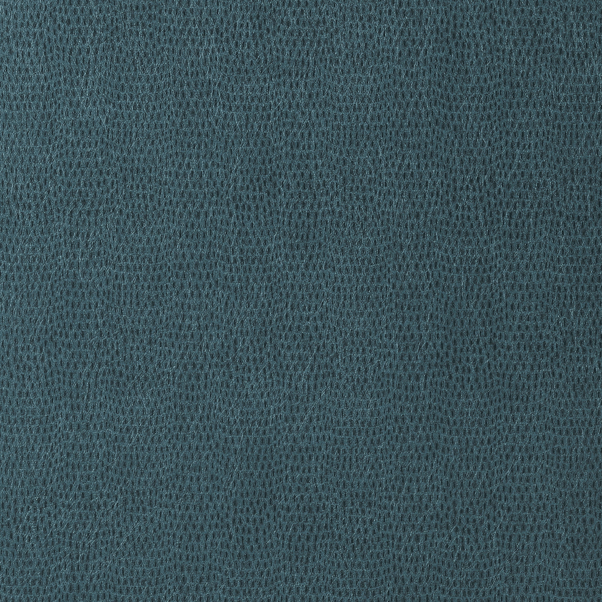 CHAMELEON - Teal