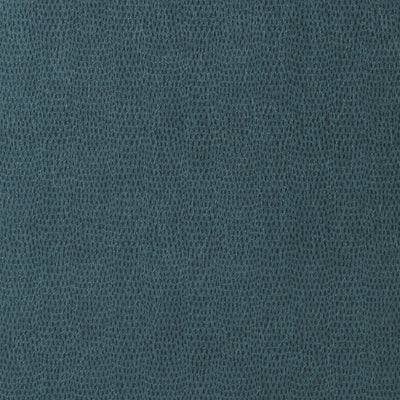 CHAMELEON - Teal