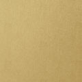 WESTERN LEATHER - Metallic Gold