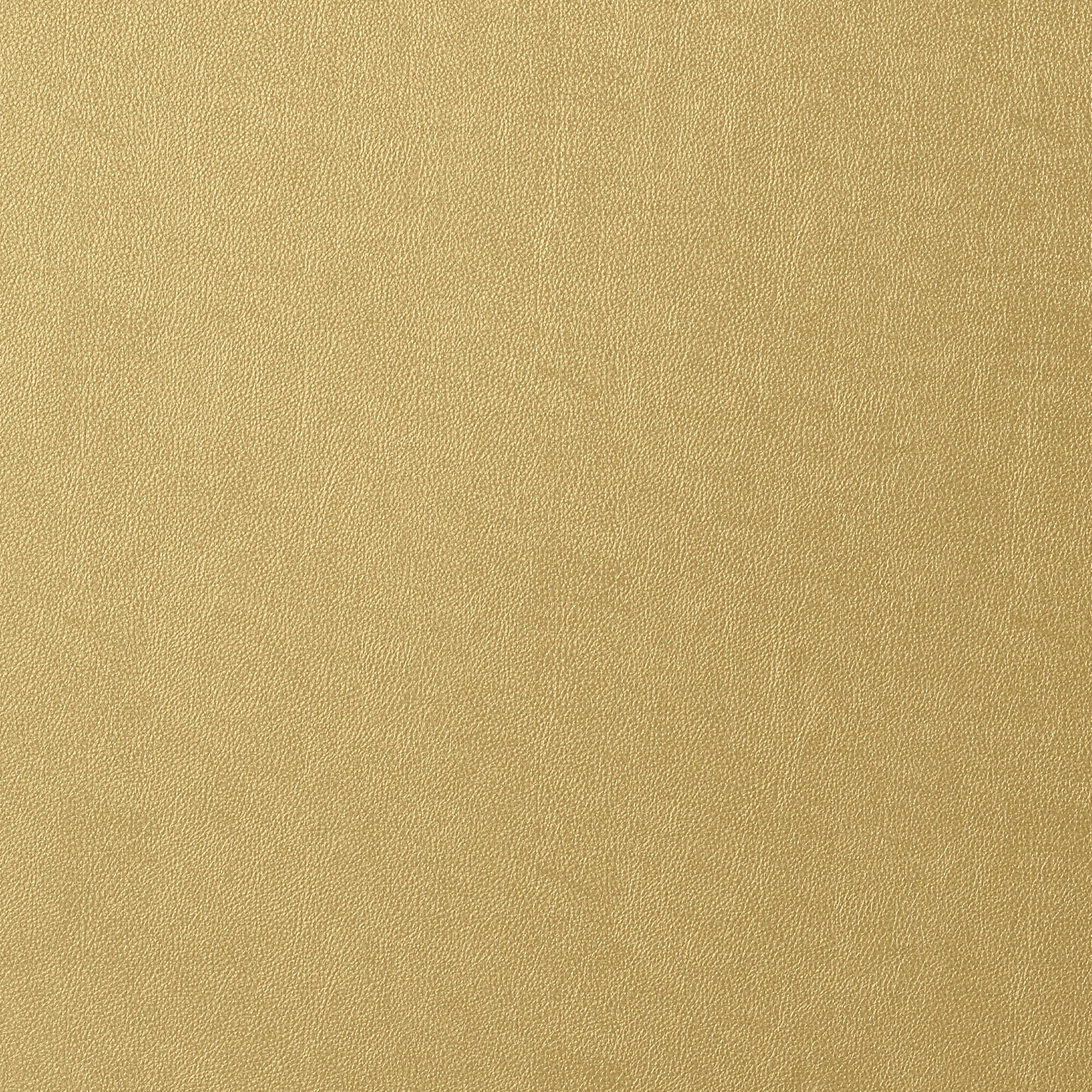 WESTERN LEATHER - Metallic Gold