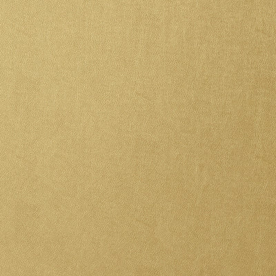 WESTERN LEATHER - Metallic Gold
