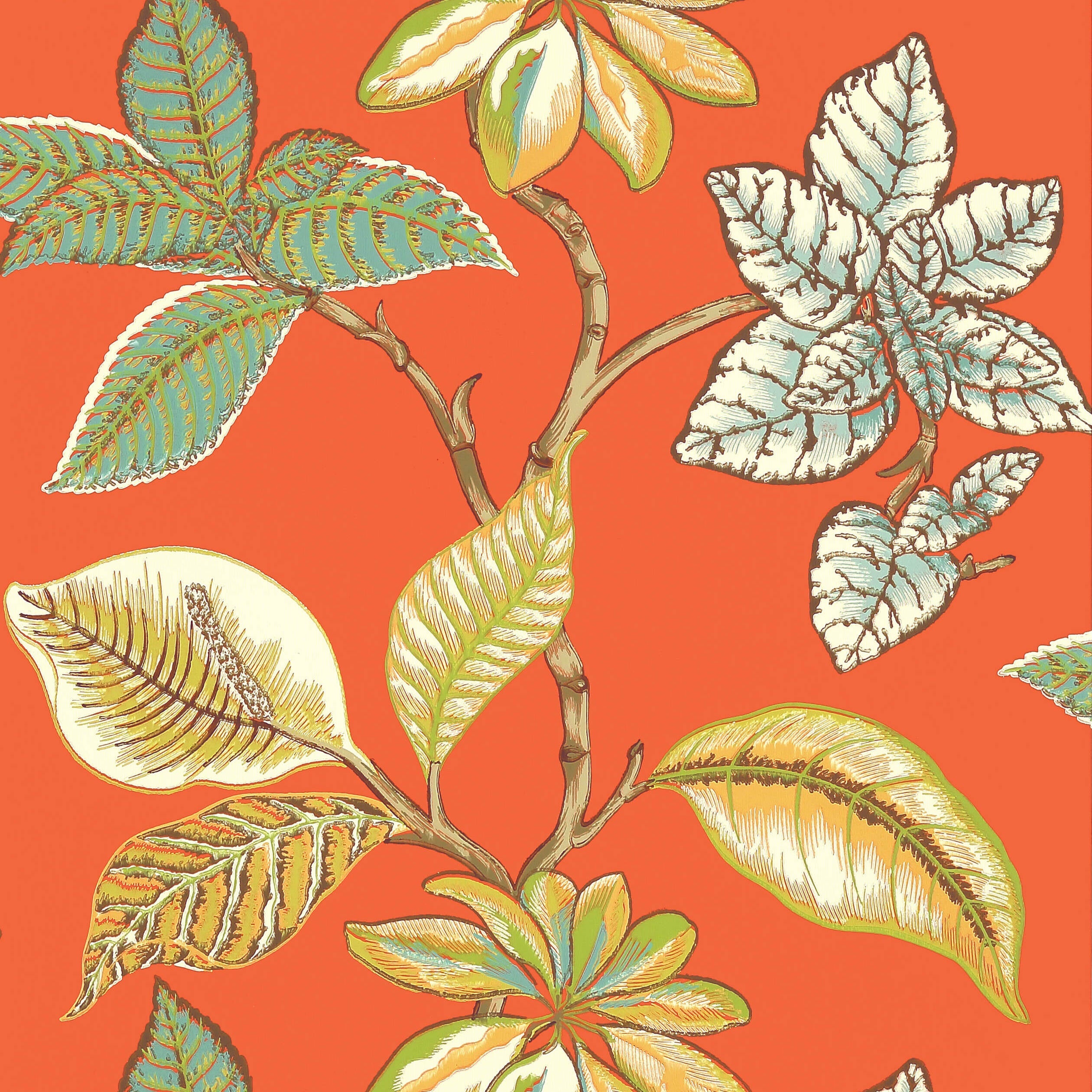 LUCALA - Coral