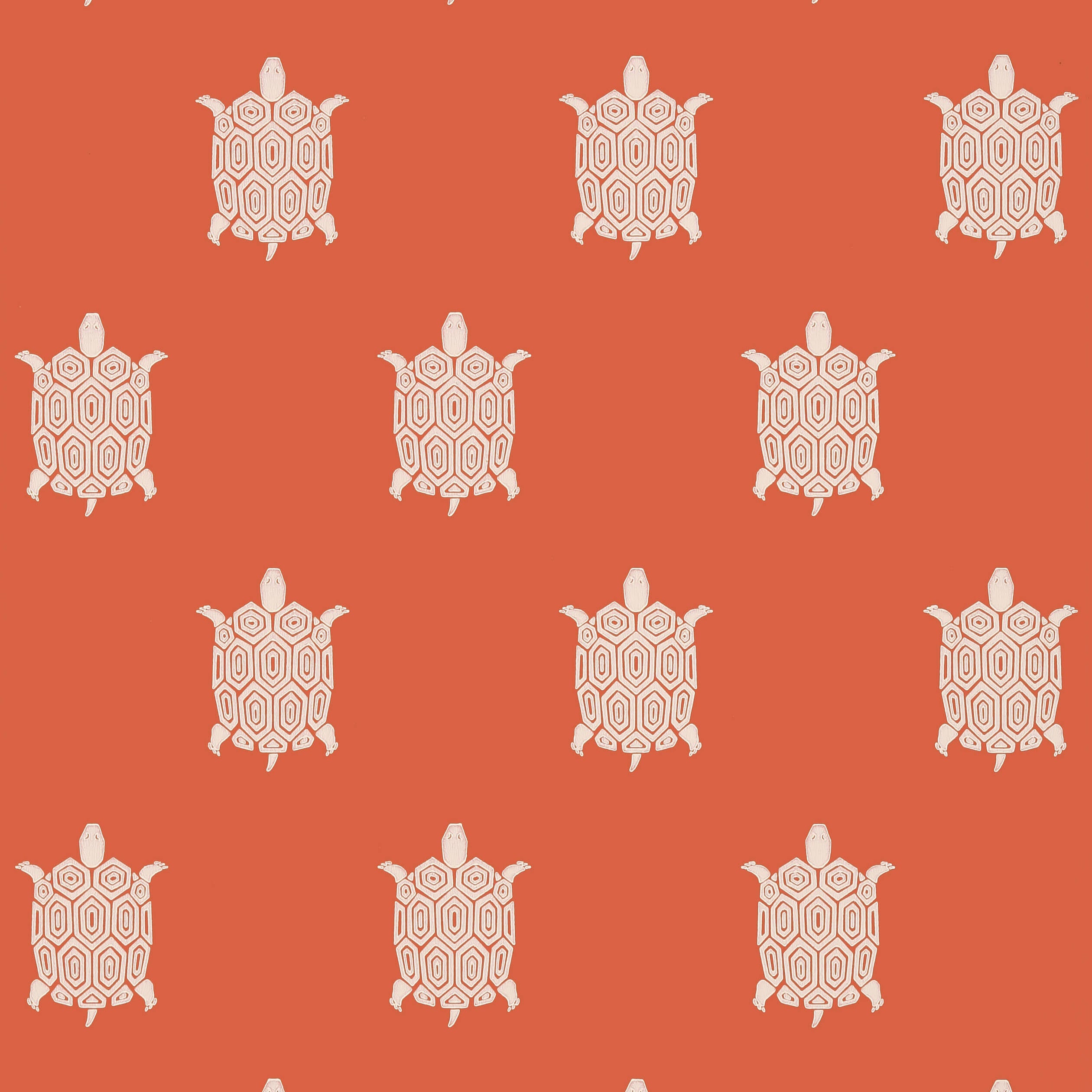 TURTLE BAY - Coral