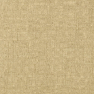 BANKUN RAFFIA - Antique