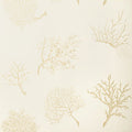 CORAL GABLES - Pearl