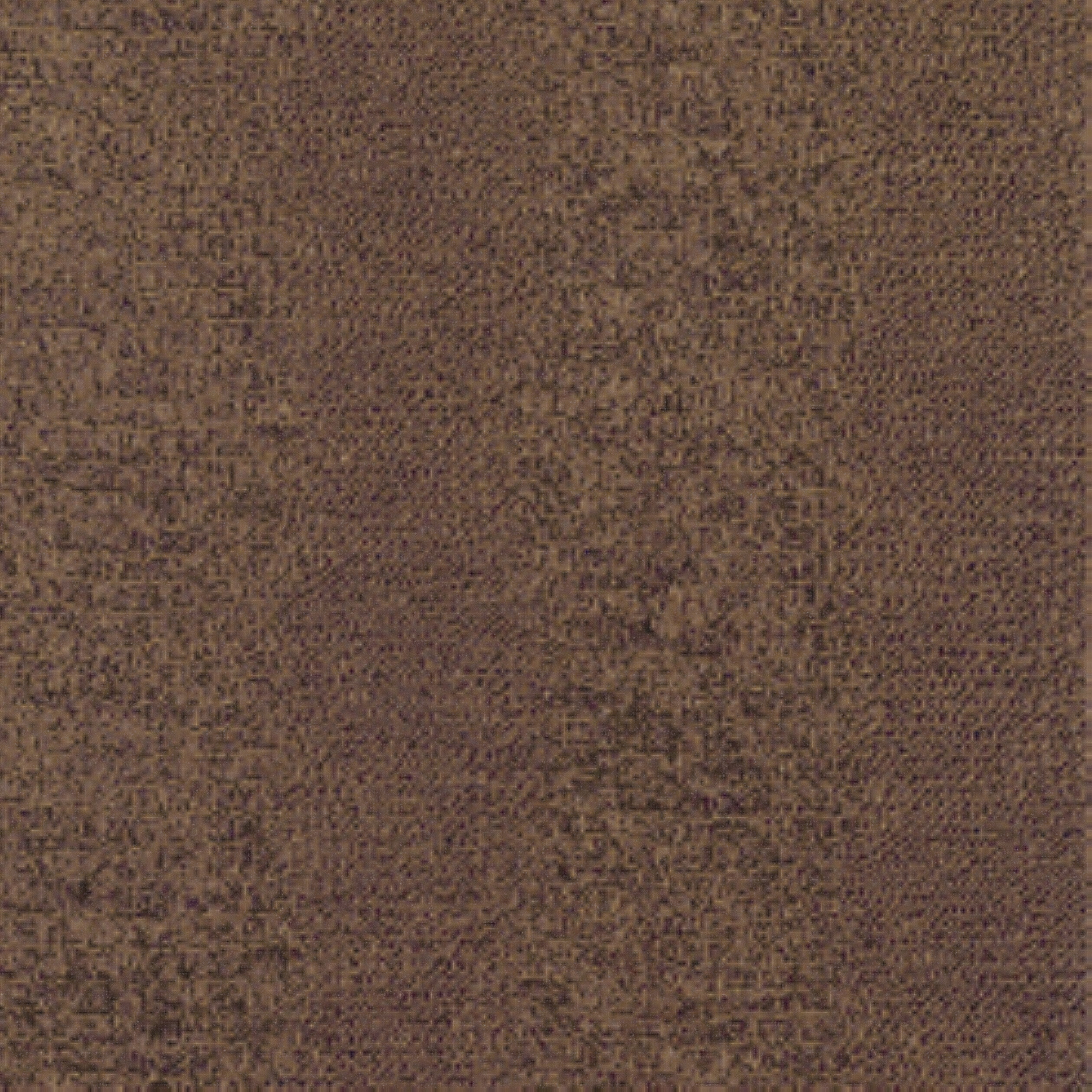 EVERGLADES - Brown