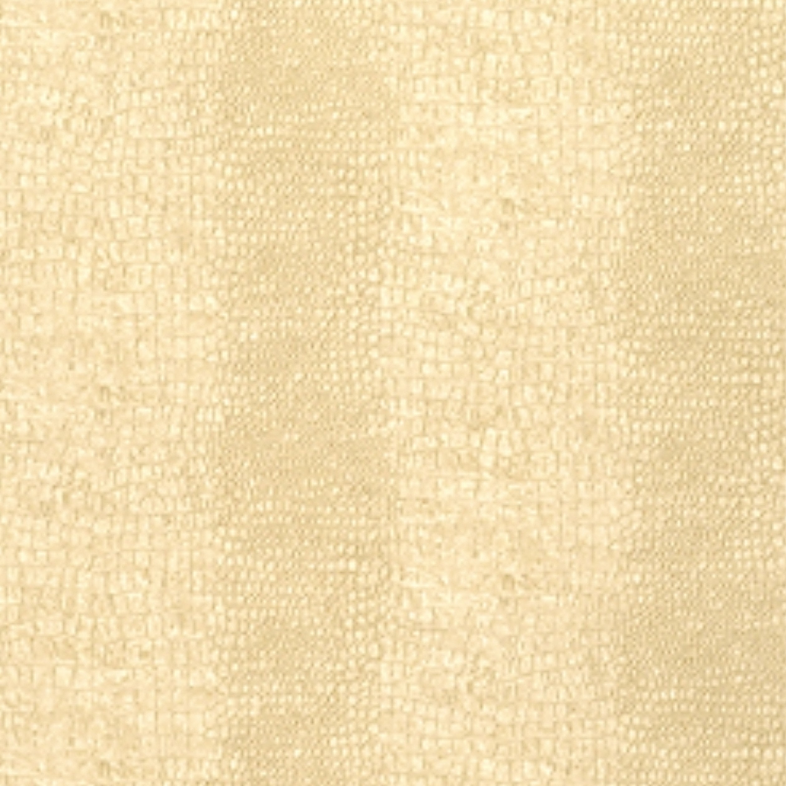 EVERGLADES - Cream