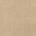 CABO RAFFIA - Tan