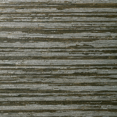 CANYON - Black