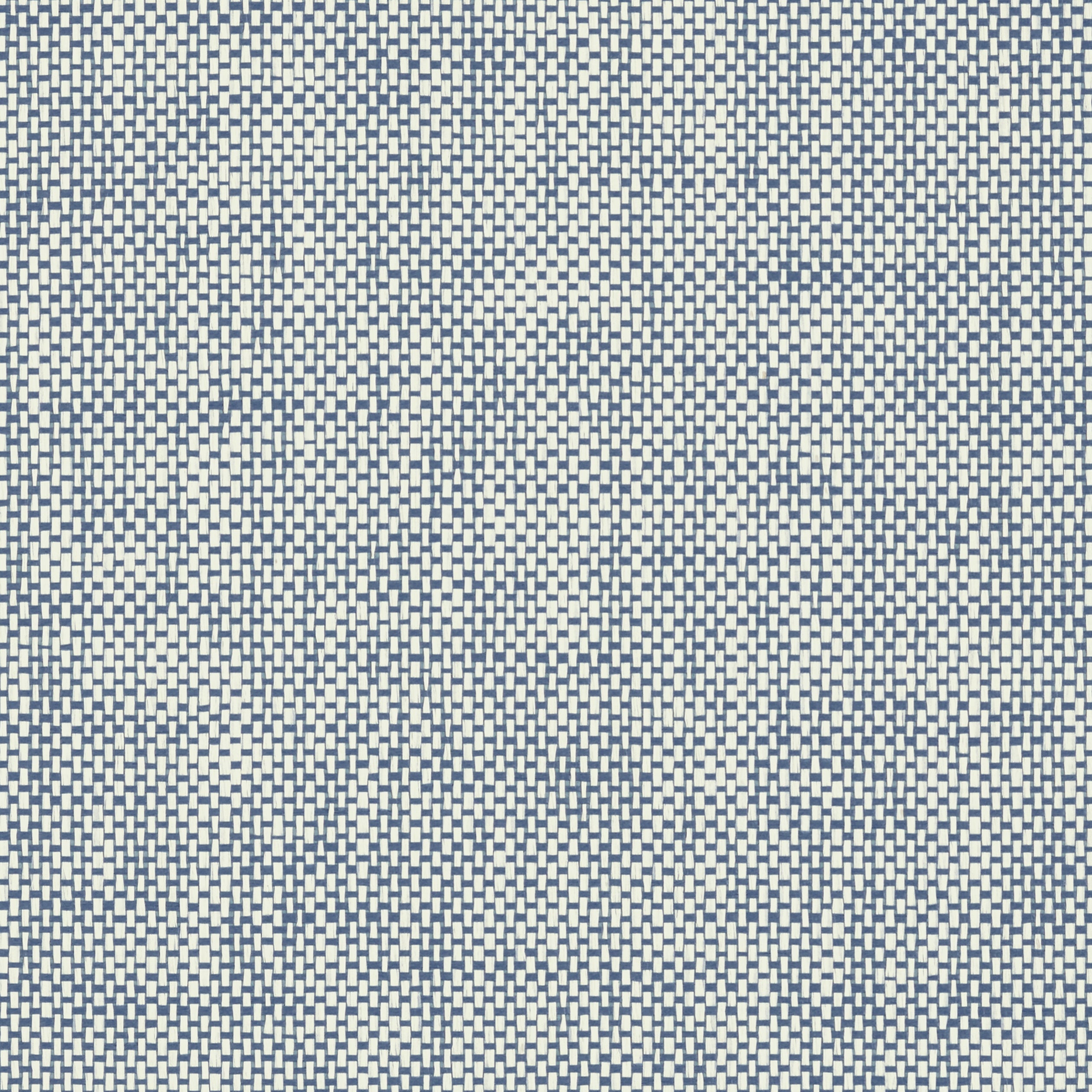 WICKER WEAVE - Blue