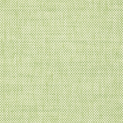 WICKER WEAVE - Green