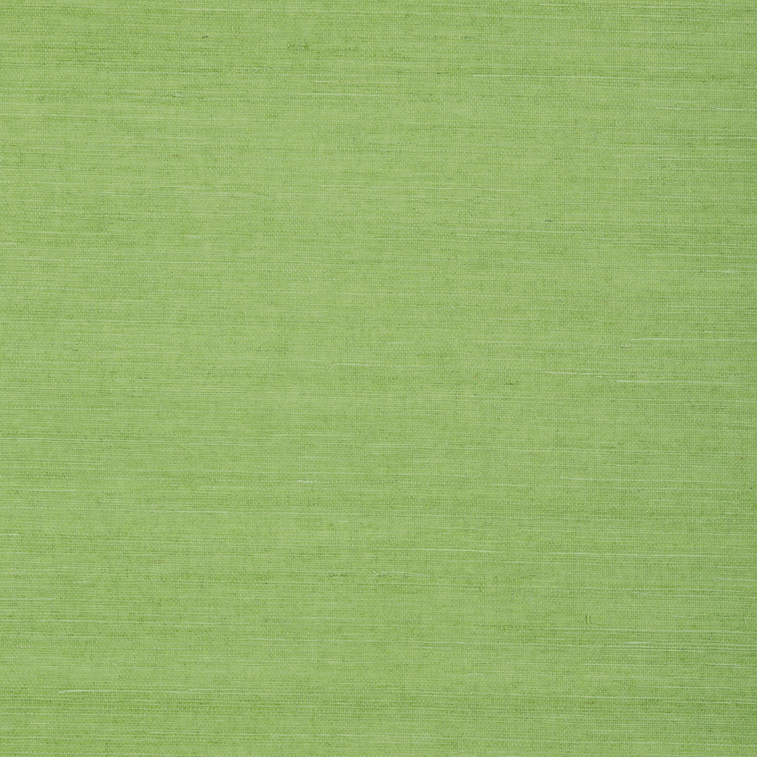 SHANG EXTRA FINE SISAL - Kelly Green