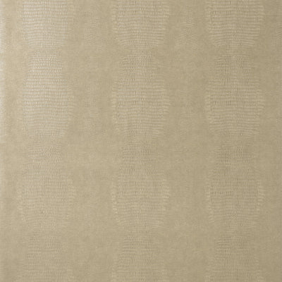 KISSIMMEE - Taupe