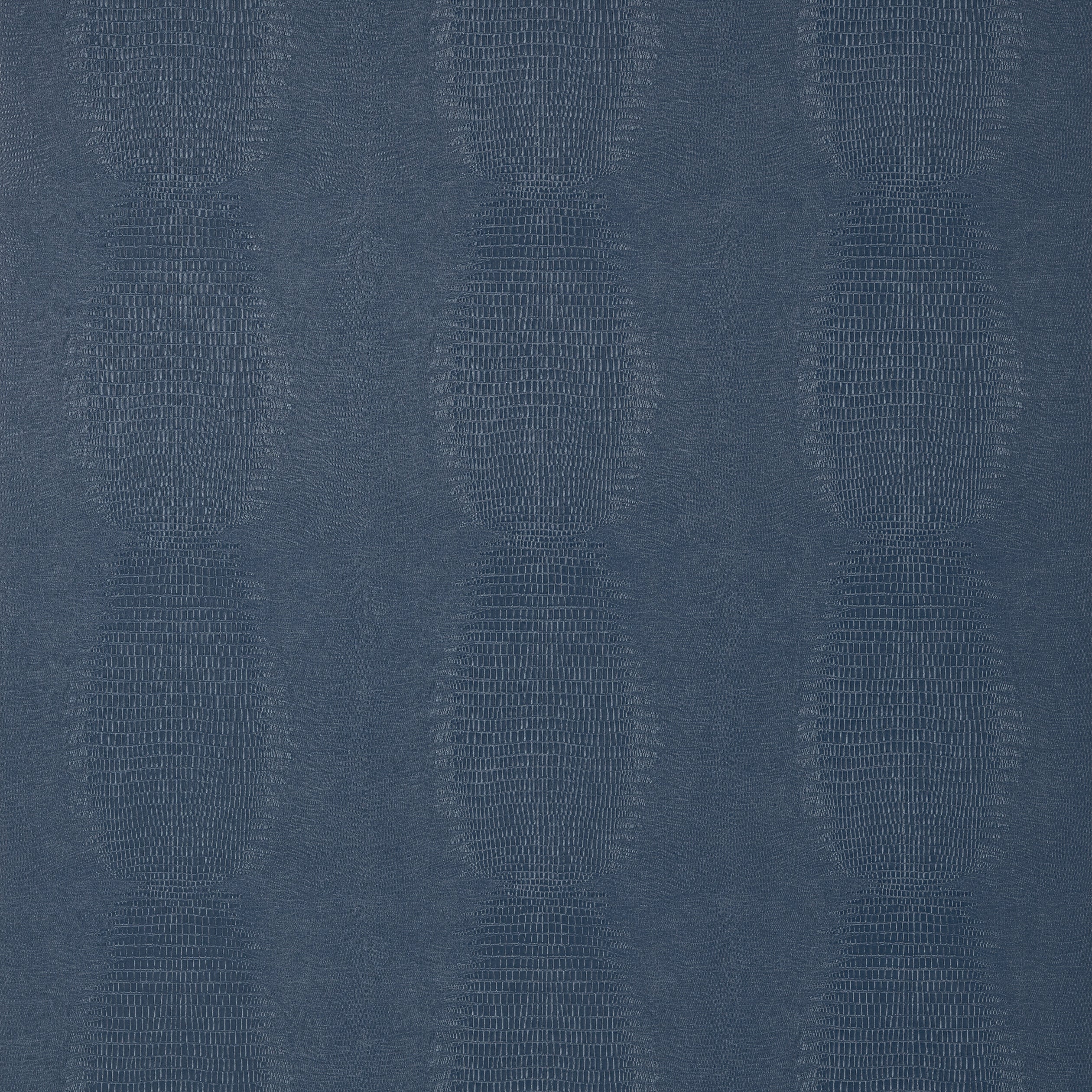 KISSIMMEE - Navy