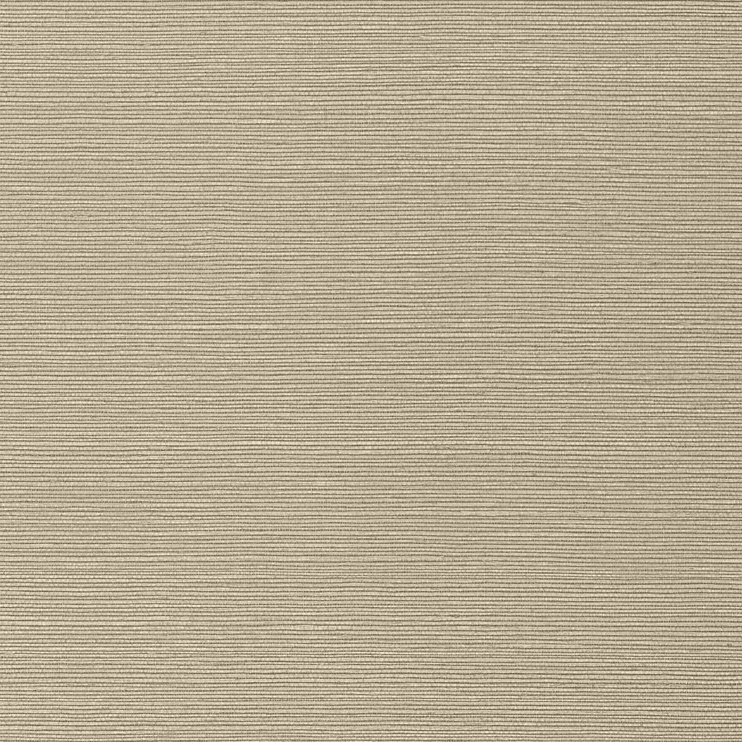 TALUK SISAL - Mushroom