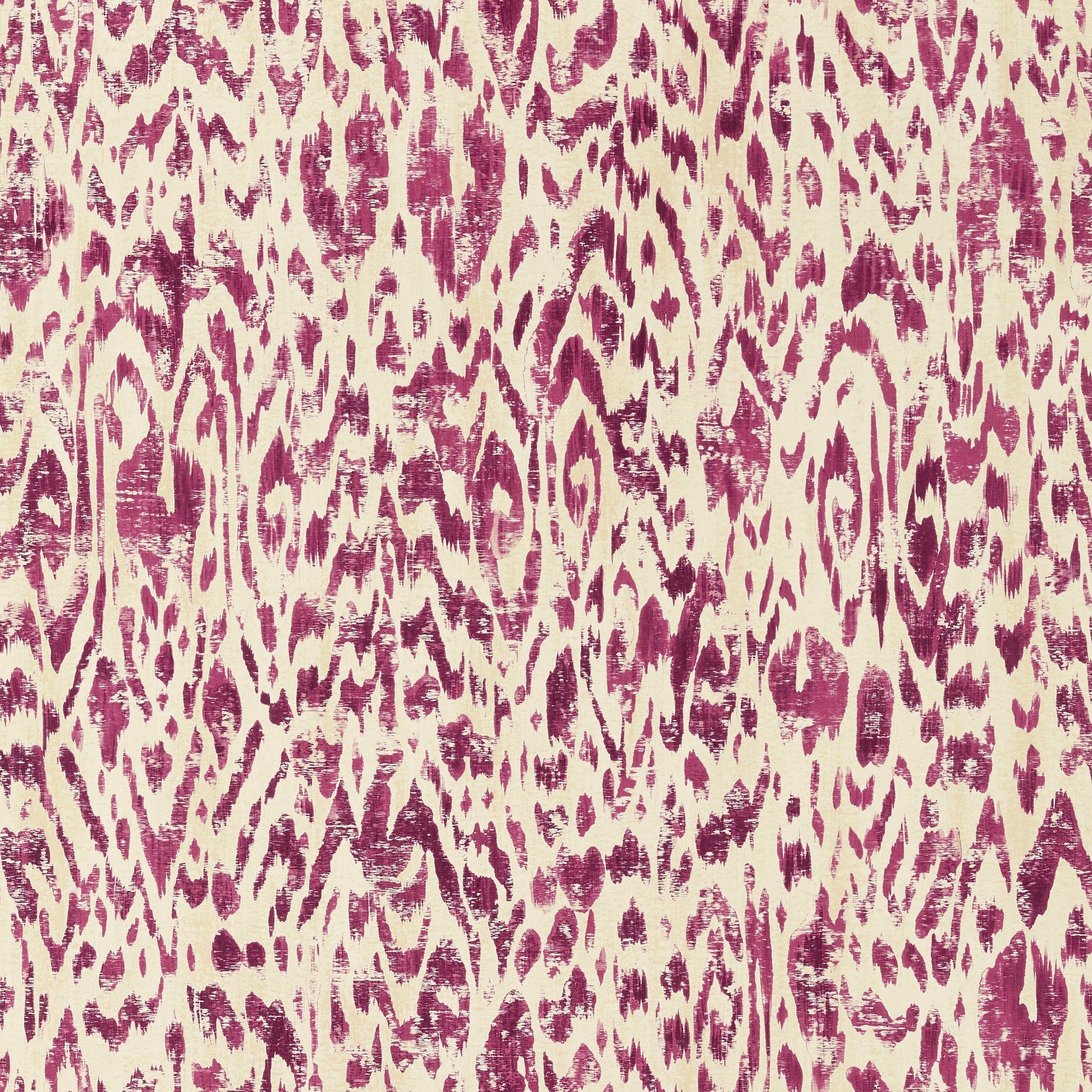 CARLOTTA - Eggplant