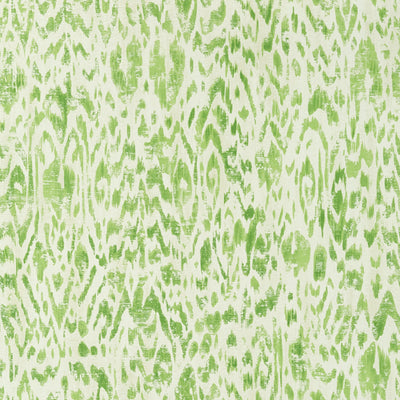 CARLOTTA - Green