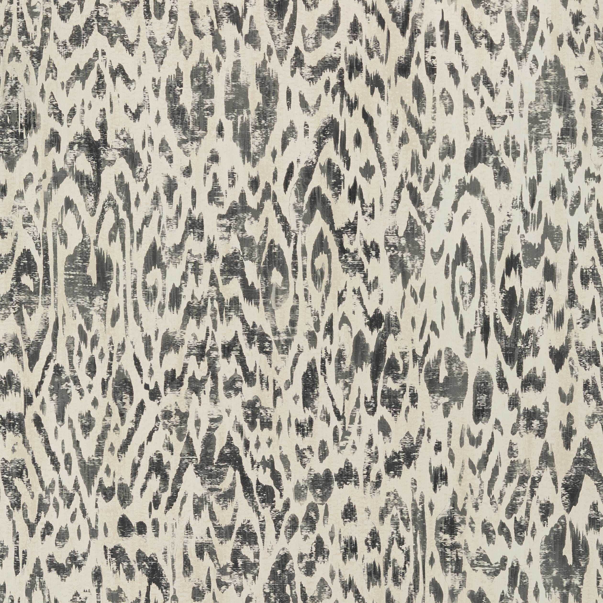 CARLOTTA - Charcoal