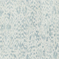CARLOTTA - Aqua