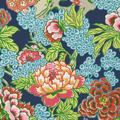 HONSHU - Navy