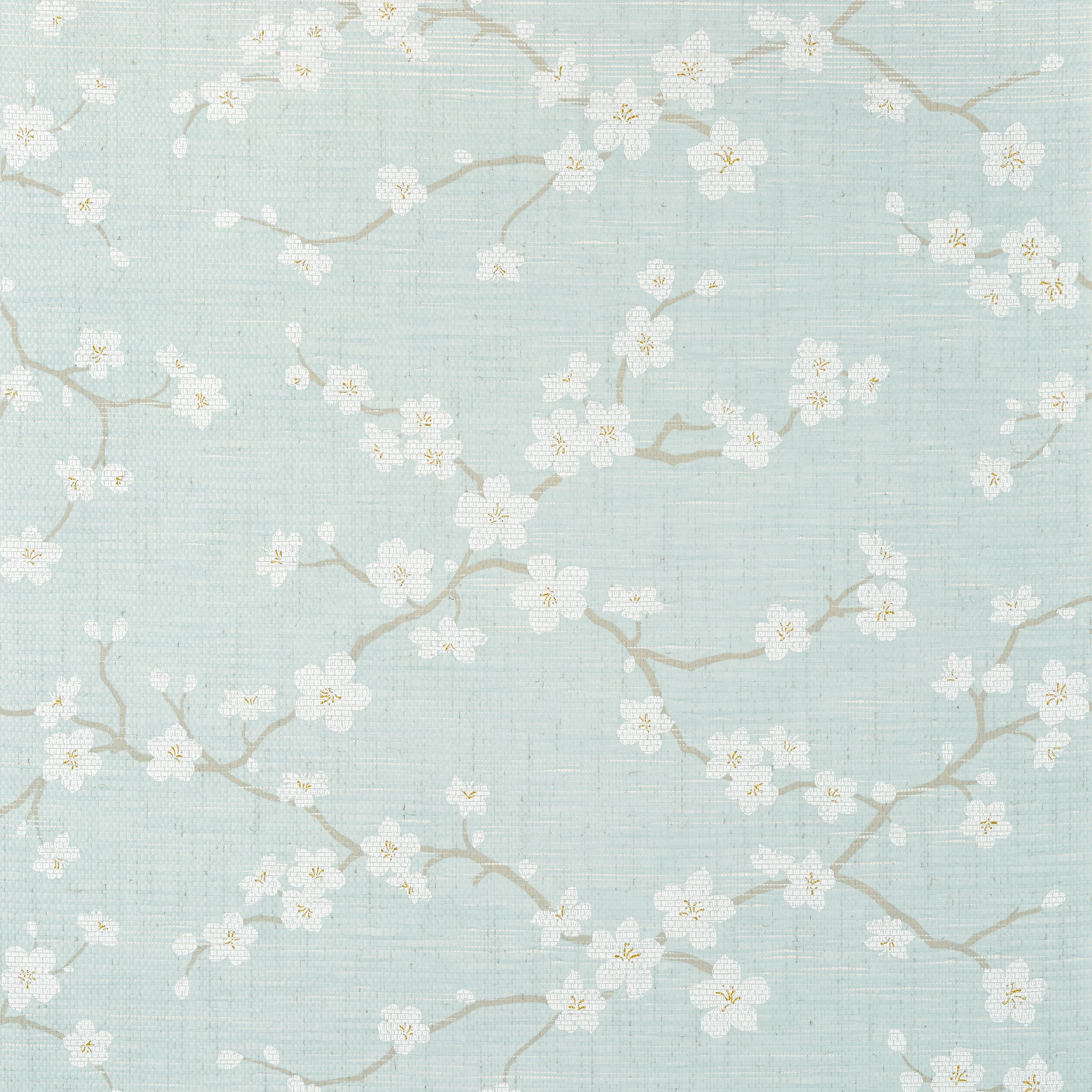 SAKURA - Aqua