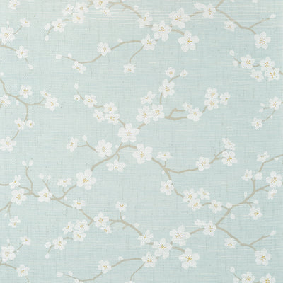 SAKURA - Aqua
