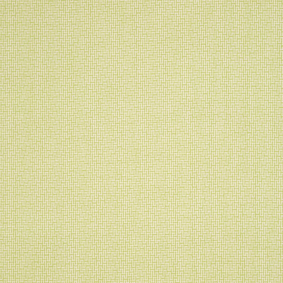 HIGHLINE - Green