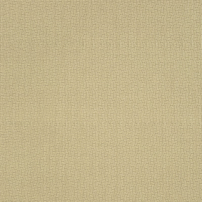 HIGHLINE - Taupe