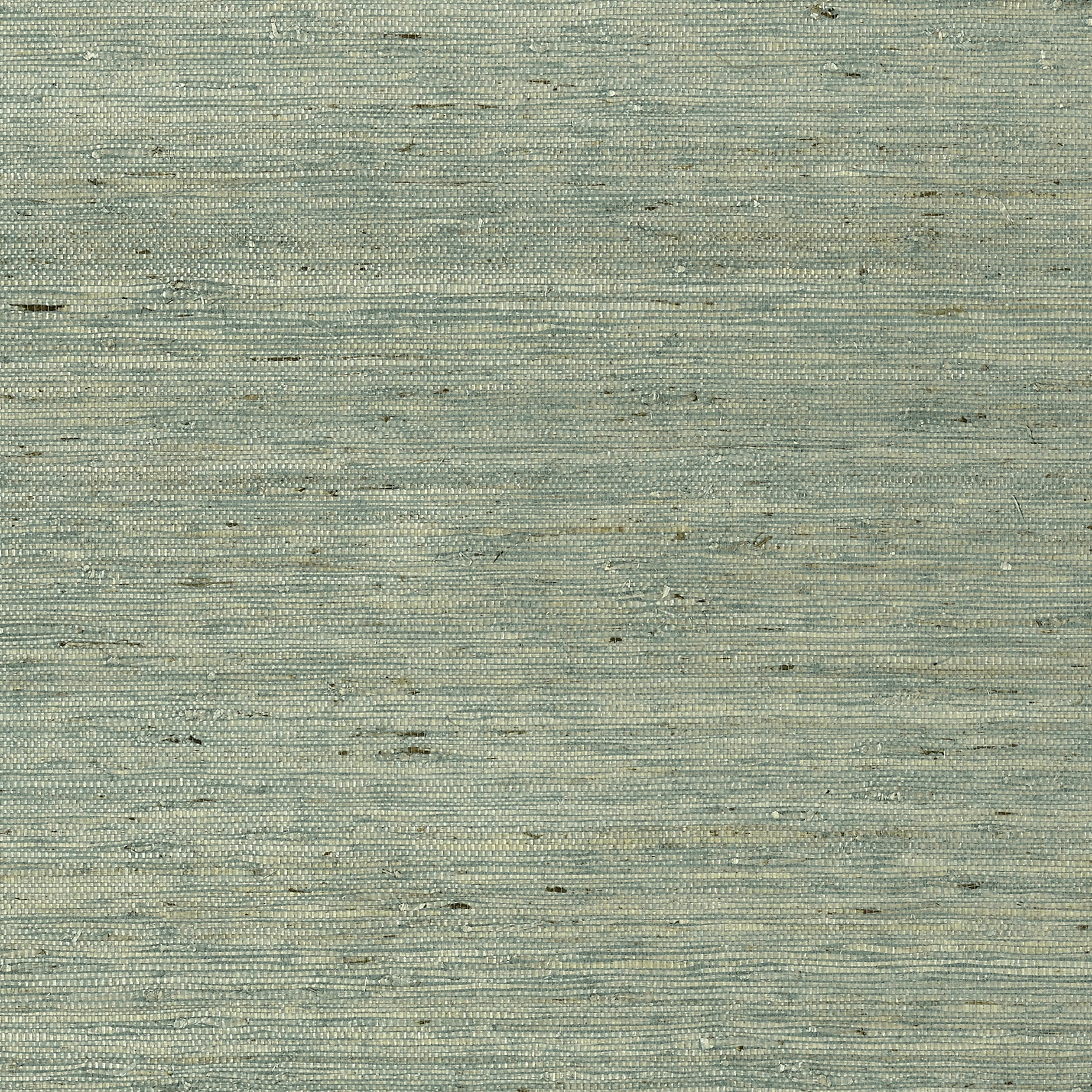 MARANTA ARROWROOT - Teal