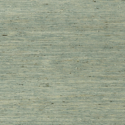 MARANTA ARROWROOT - Teal